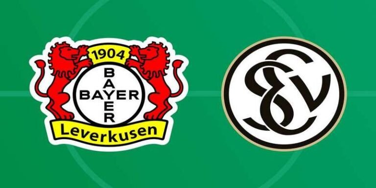 Elversberg vs Bayer Leverkusen