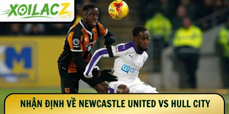 Nhận định chung về Newcastle United vs Hull City